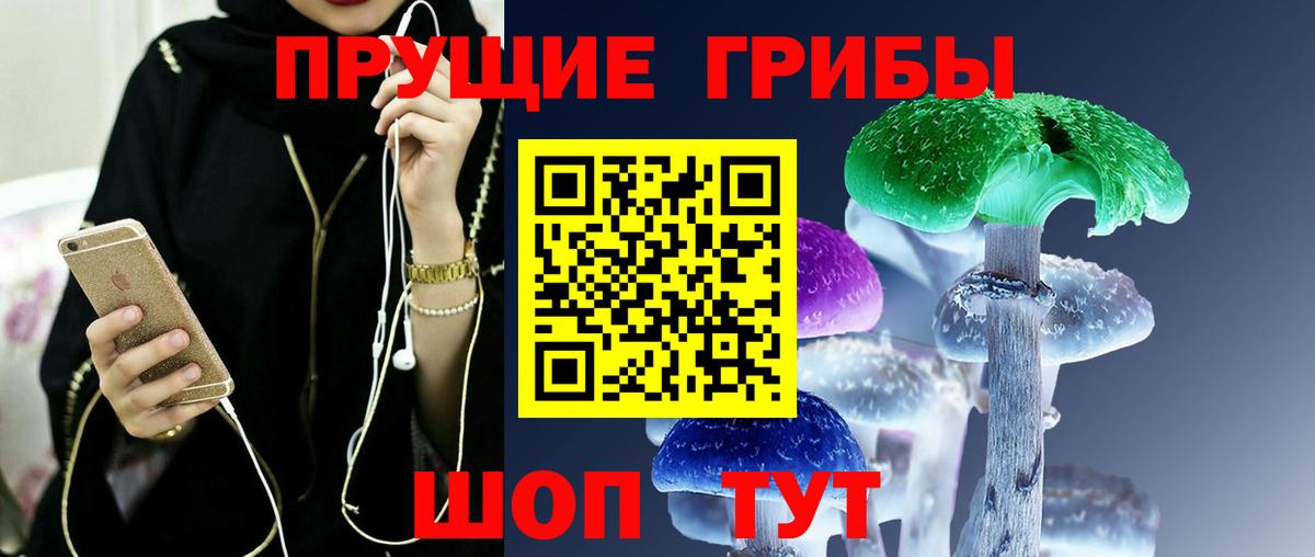 Галлюциногенные грибы мицелий Верхняя Пышма